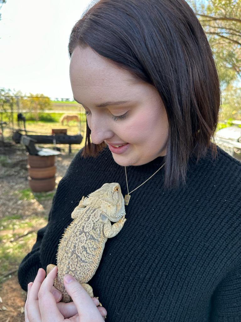 This job is so random sometimes 🐍
