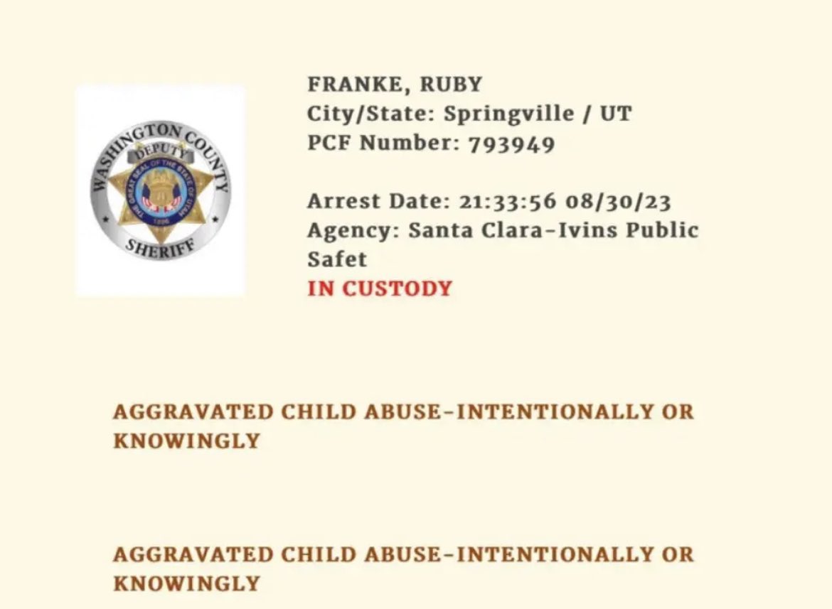 TodayOnGlobe's tweet photo. #BREAKING PREDATED🇺🇸
Infamous YouTube mommy vlogger Ruby Franke arrested for aggravated child  abuse. Chilling 911 call details the disturbing incident. 

#RubyFranke #ChildAbuse #YouTubeMom #FamilyCourt #tognews #todayonglobenews #tog #todayonglobe
https://t.co/bLlgXYgA3r https://t.co/zTSUMRzPvR