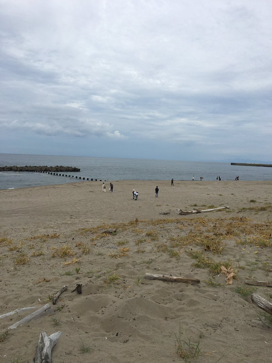NITSDGsSTUDENTS's tweet photo. 新潟県にて9月2日(土)に太夫浜の清掃、3日(日)にアート制作を行いました。
近年他大学の方との対面での活動がなかなか行えず、ひさしぶりの交流となりました。
今後も環境活動の輪を広げて行きたいです!
投稿:井上 佳音
#日本工業大学 #湘南工科大学 #新潟環境ネットワーク #日工大 #nit #nscweek https://t.co/4pqeU5GZ2t