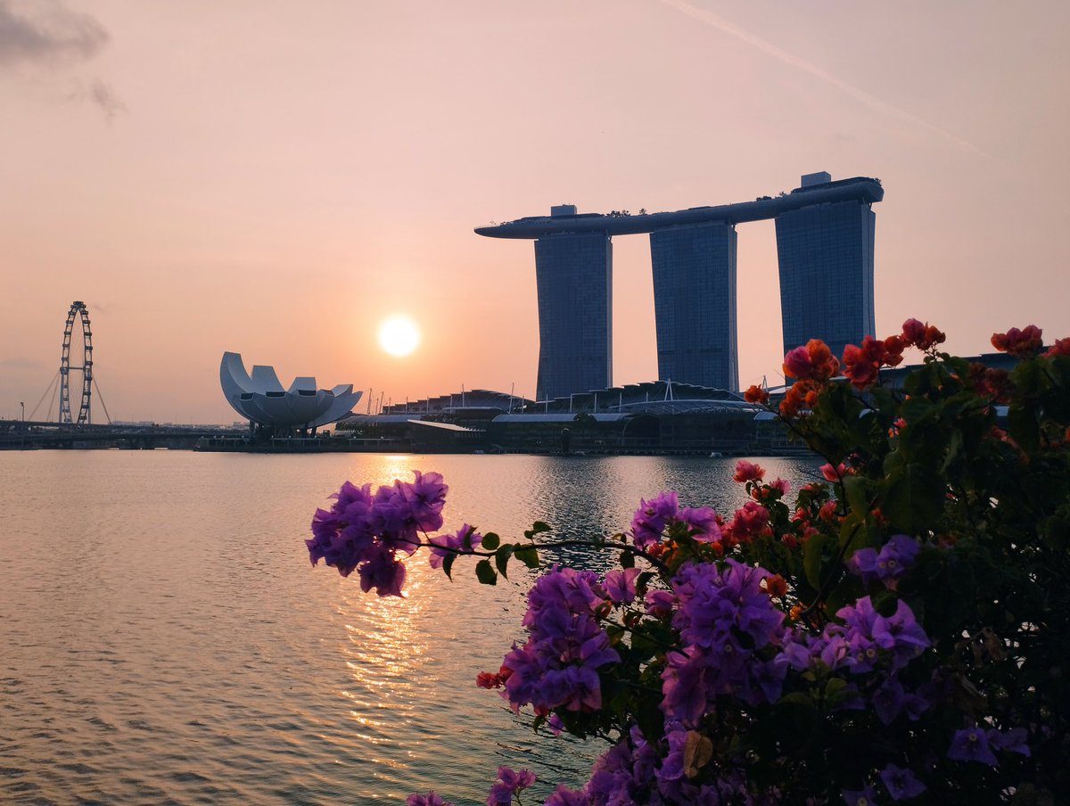 nekohimereal's tweet image. Thanks！🇸🇬
Terima kasih！🇲🇾
ขอบคุณครับ！🇹🇭