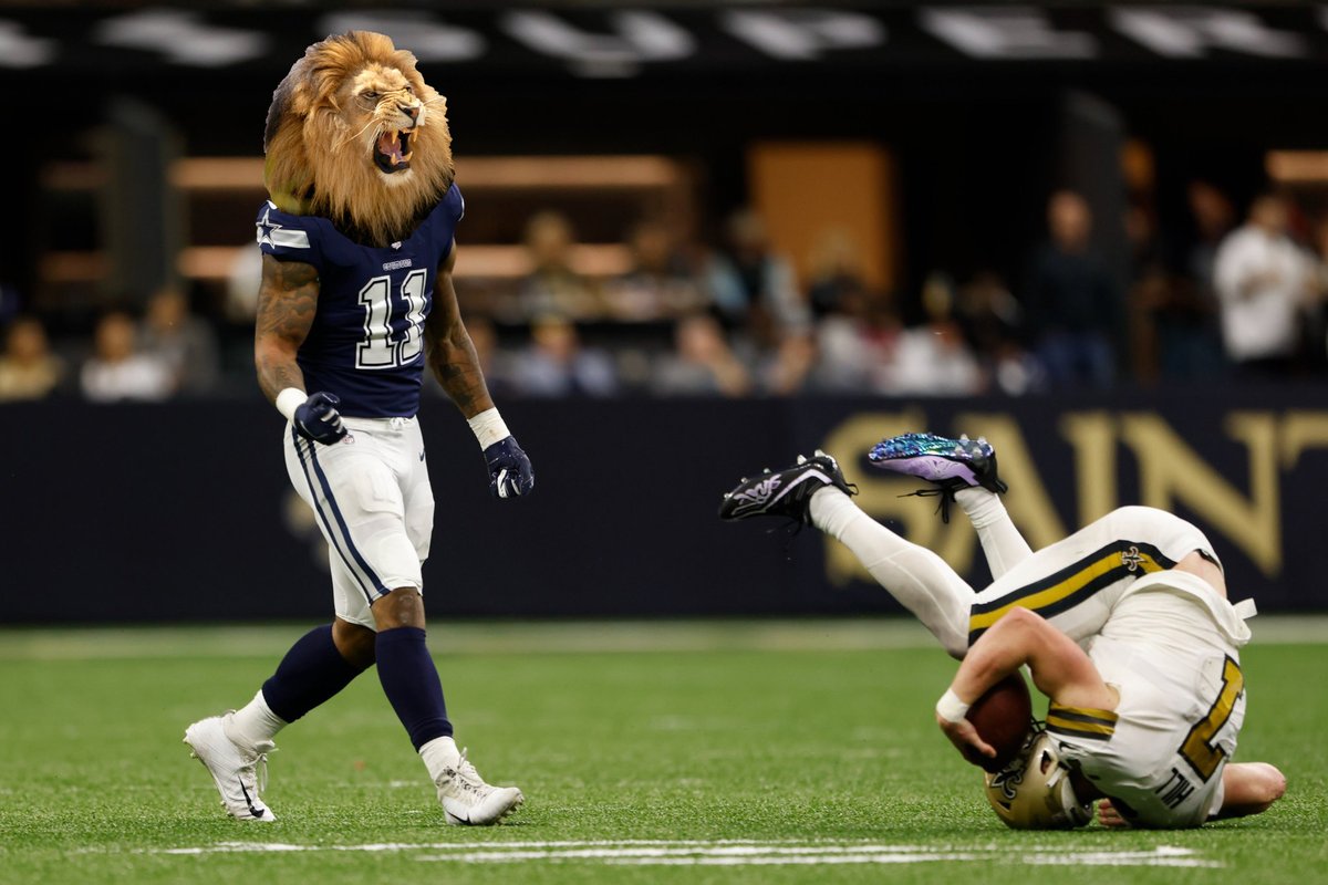 Not2BeTrite's tweet photo. Guess it's good of a time as any to break out the #lionbacker photo again https://t.co/ALjGbk9JH4