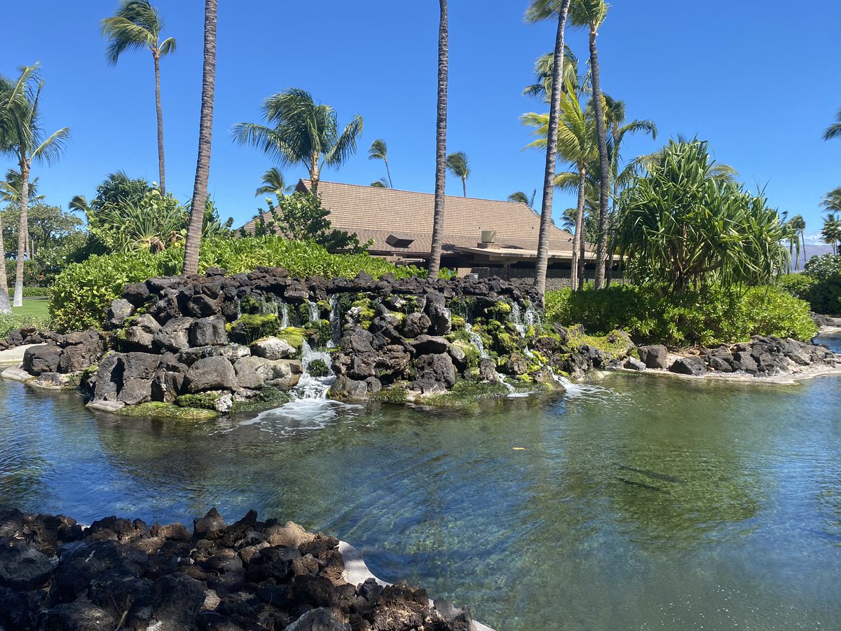 So beautiful here!! <a href="/swh7668/">Scott Hermann</a> <a href="/Chilis/">Chili's Grill & Bar</a> #5star #Hawaii