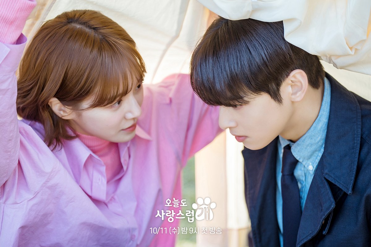 mbcdrama_pre's tweet photo. 강아지 옆에 강아지🐾 멍뭉美 가득한 투샷✨
바라만 봐도 설렘 유발하는 서원X해나 케미💖

#오늘도사랑스럽개 #오사개
10월 11일 (수) 밤 9시 첫 방송🐶

#mbcdrama #MBC수요드라마 #MBC
#AGoodDaytobeaDog
#차은우 #박규영 #이현우 https://t.co/BQSo8YsshP