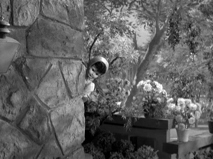 lee_allred's tweet image. On, no, she hasn't forgotten you, my pretties, oh no indeed!… 
#AlwaysWaiting #AlwaysWatching
#PerryOfTheCorn 
#BehindYou 
#DontTurnAround