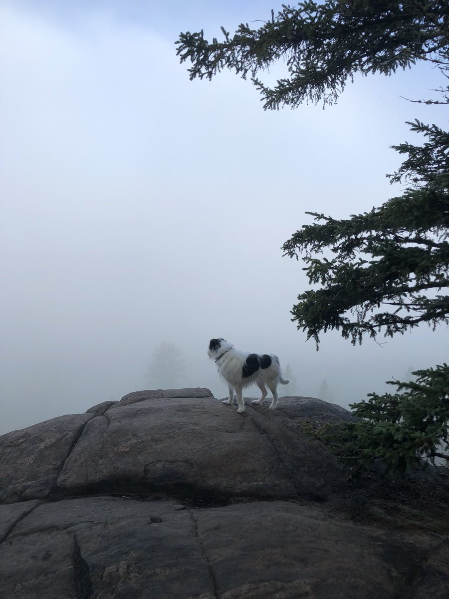 Dan Kraus tweet media