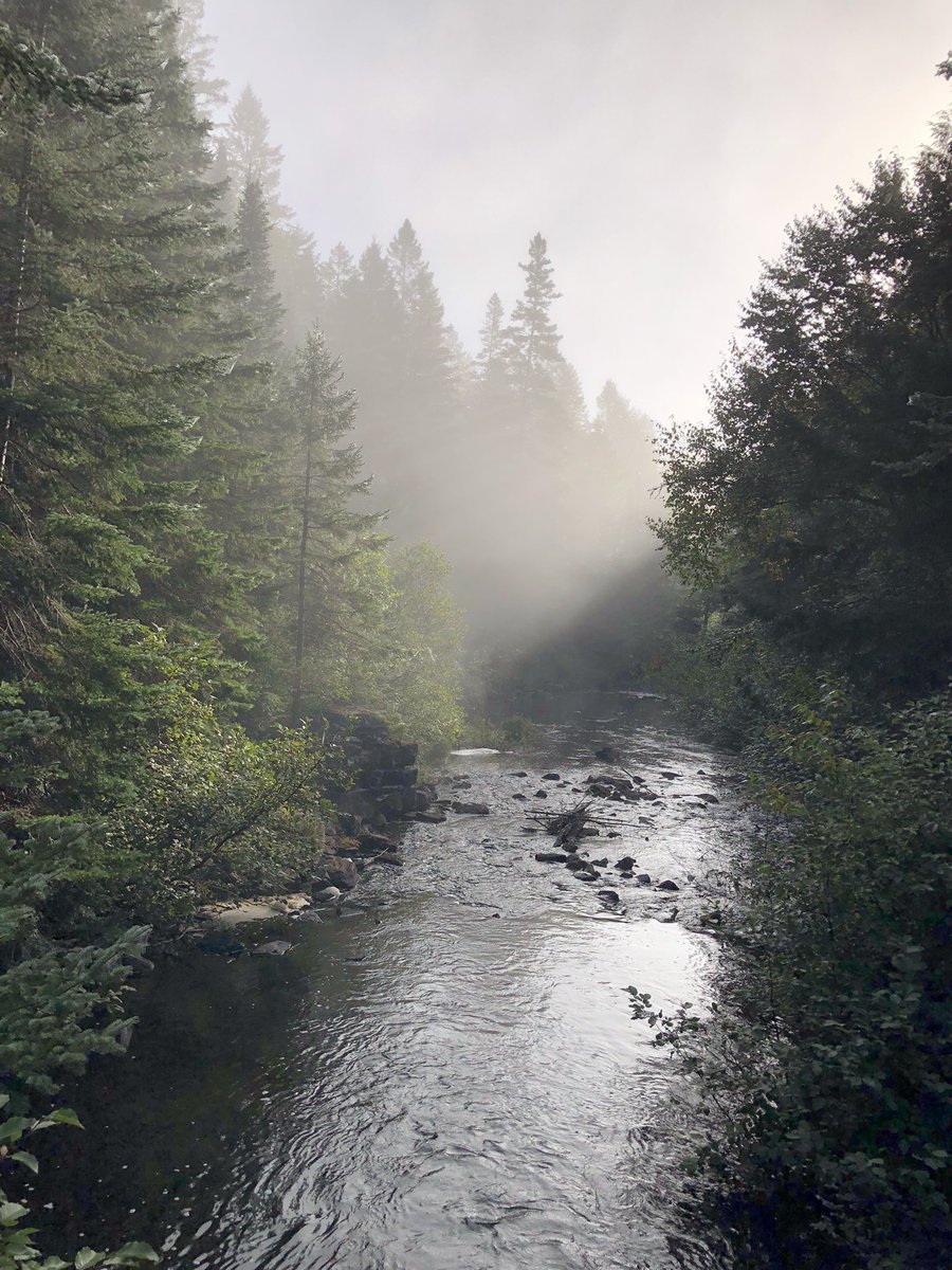 Dan Kraus tweet media