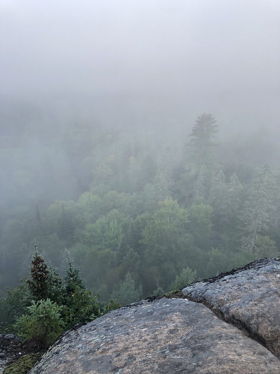 Dan Kraus tweet media