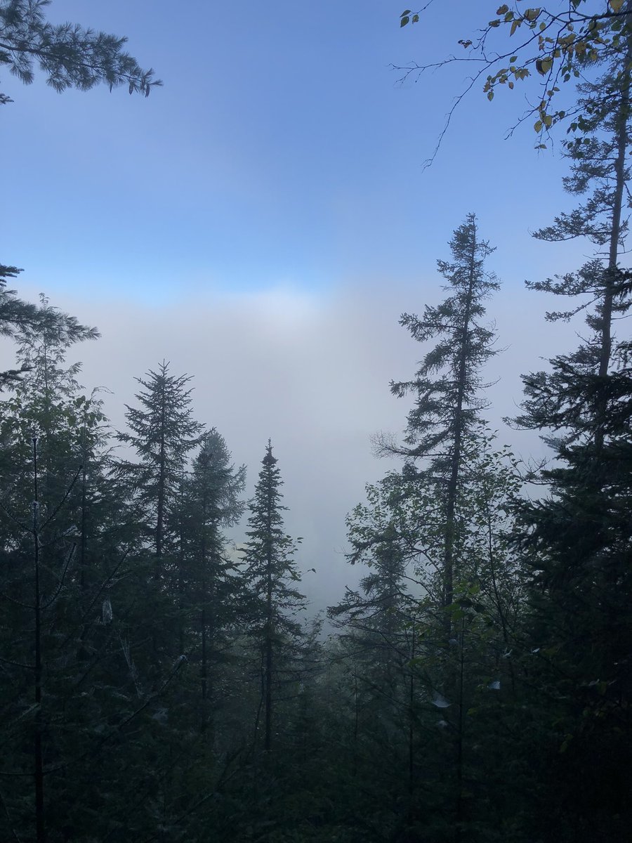 Dan Kraus tweet media