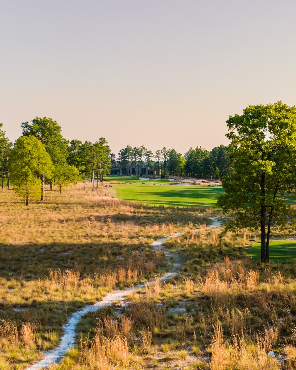 The Coore &amp; Crenshaw designed Dormie Club located just outside of Pinehurst is minimalist North Carolina Sandhills golf at its absolute finest 🚩

<a href="/DormieClub/">Dormie Club</a> <a href="/DormieNetwork/">Dormie Network</a>