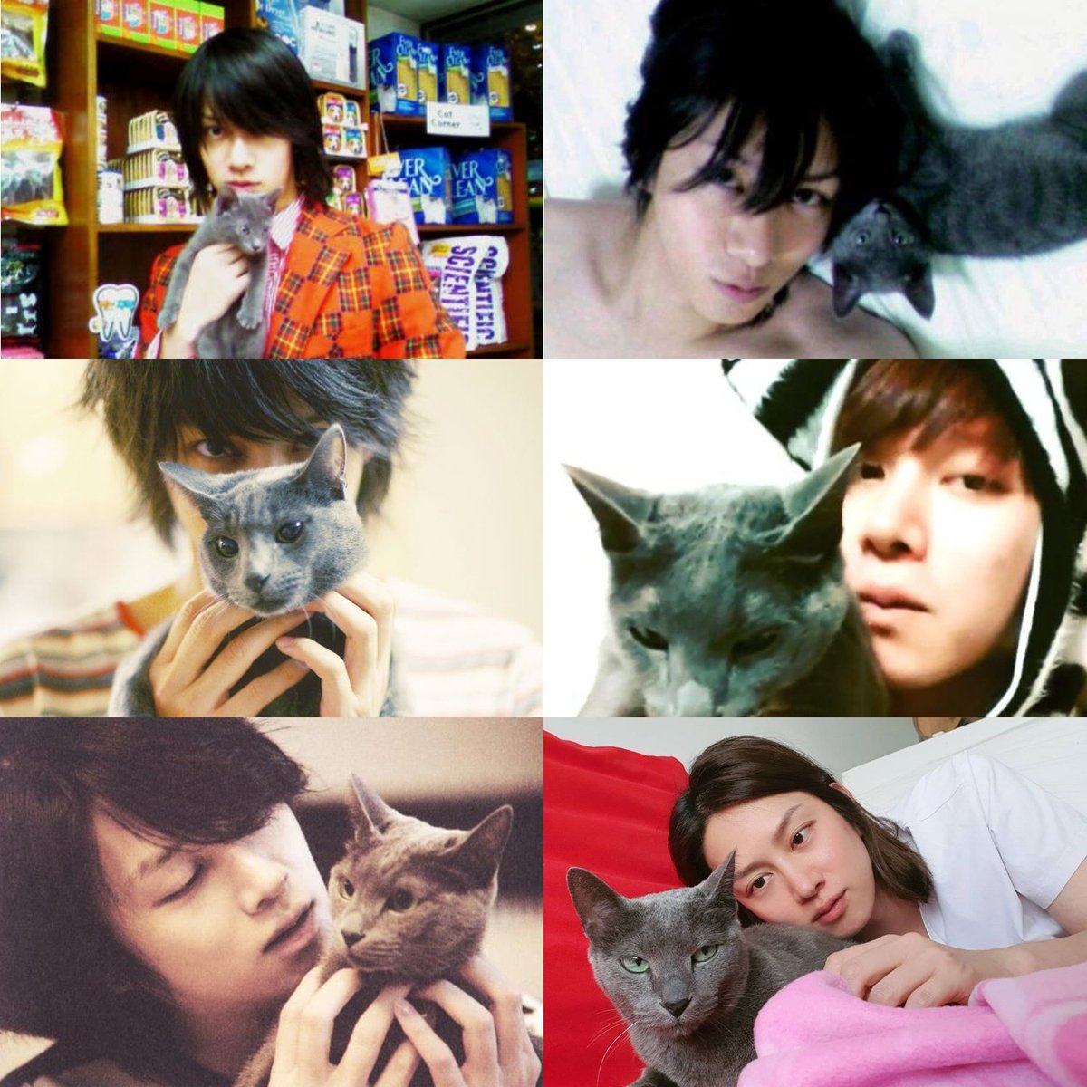 heechul’s cat hanje heebum turns 18! 🥺 thank you for staying by heechul’s side for the past 18 years. always be healthy + live long with gibok & heenim 🤍