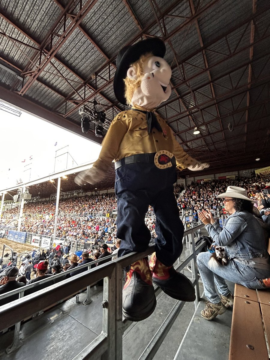PlaceHadyn's tweet photo. J'étais très impressionné par le Festival Western St Tite: défilé, rodéo, spectacles, et des chapeaux de cowboy partout. @pljean93 @stephiieroy, @mmaslink #fwst https://t.co/uCq74t0niI