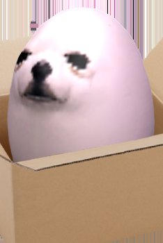 bootwtadoption's tweet image. .𖥔 ݁ ˖  an egg dog has appeared at your door! 

.𖥔 ݁ ˖ from - @honeymuffinssz 

.𖥔 ݁ ˖ to - omnisexual boobers!

.𖥔 ݁ ˖ look! a note is attached to the box! it says, “ OMNI PRIDE LES GO “ 

.𖥔 ݁ ˖