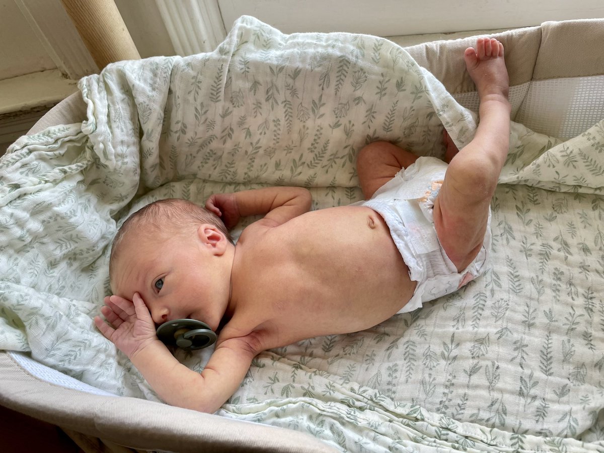 PRODUCTION UPDATE: due to an unexpectedly complicated pregnancy and birth for writer/producer Julie, production on season 2 has been delayed. Hoping to be back on track very soon…and with a new assistant/symbiote in tow!