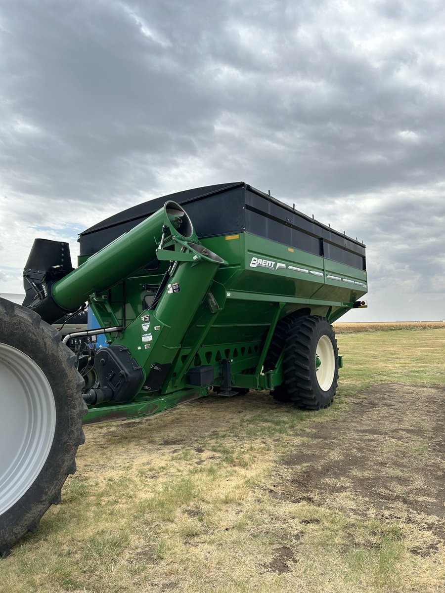 Treven Burch tweet media