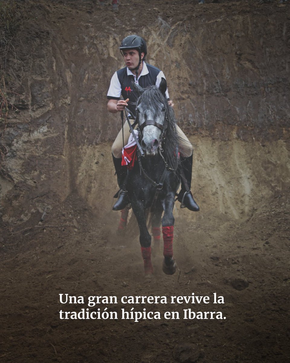 Viaja Ecuador tweet media