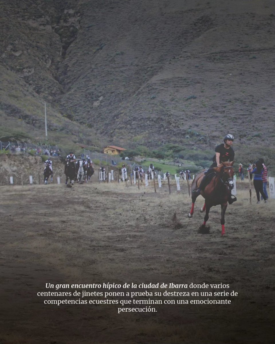 Viaja Ecuador tweet media