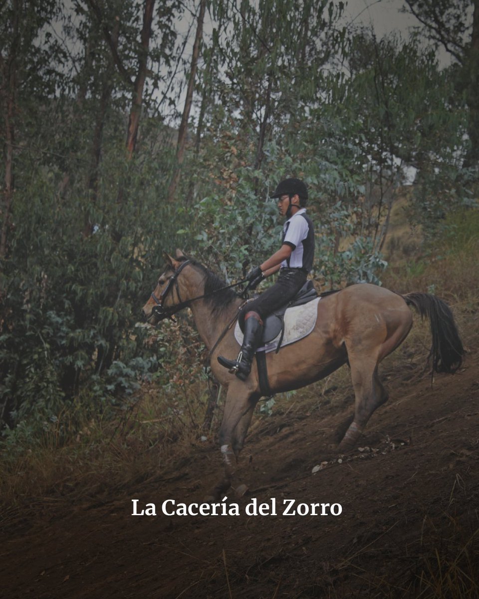 Viaja Ecuador tweet media