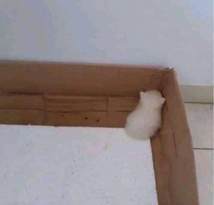 Guarromantico_'s tweet photo. *Alguien me habla un poco diferente*

Yo todo el día: https://t.co/JIyH08tc7O