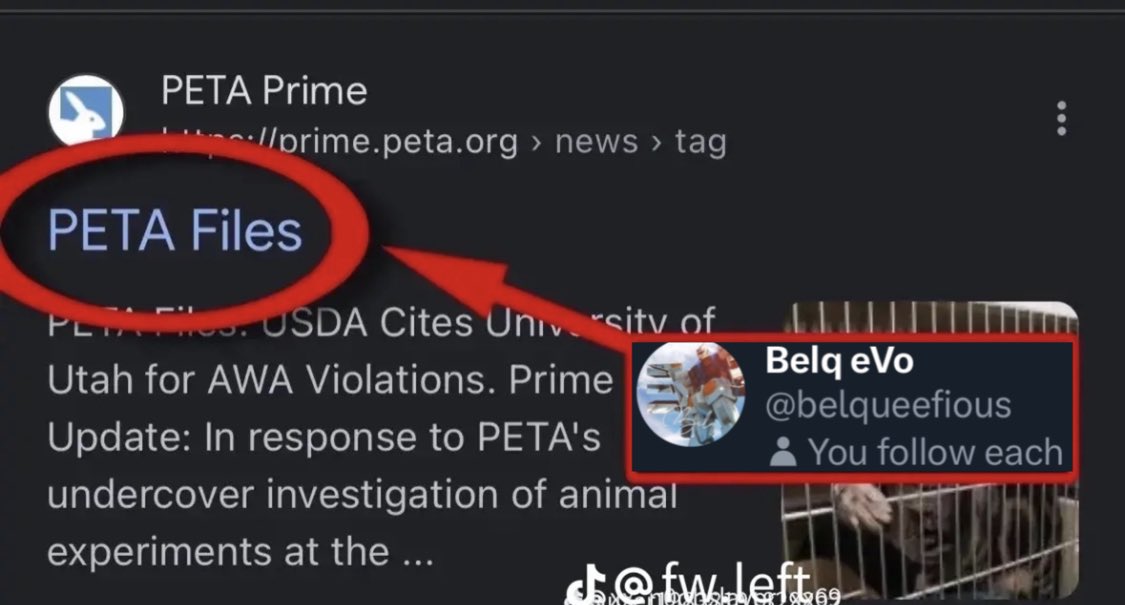 turp eVo! 🌸 tweet media