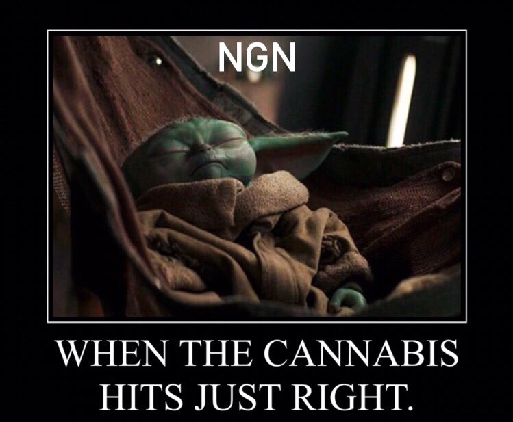 JamieLindon's tweet photo. #meme #memes #memestagram #grogu #babyyoda #ngn #thejoker #mrj #clowningdirty #whysoserious #wereallclowns #lindonsworld #jamiesworld #jamielindon #canada #canadian #nerd #🃏 https://t.co/hTbsBq8CMK