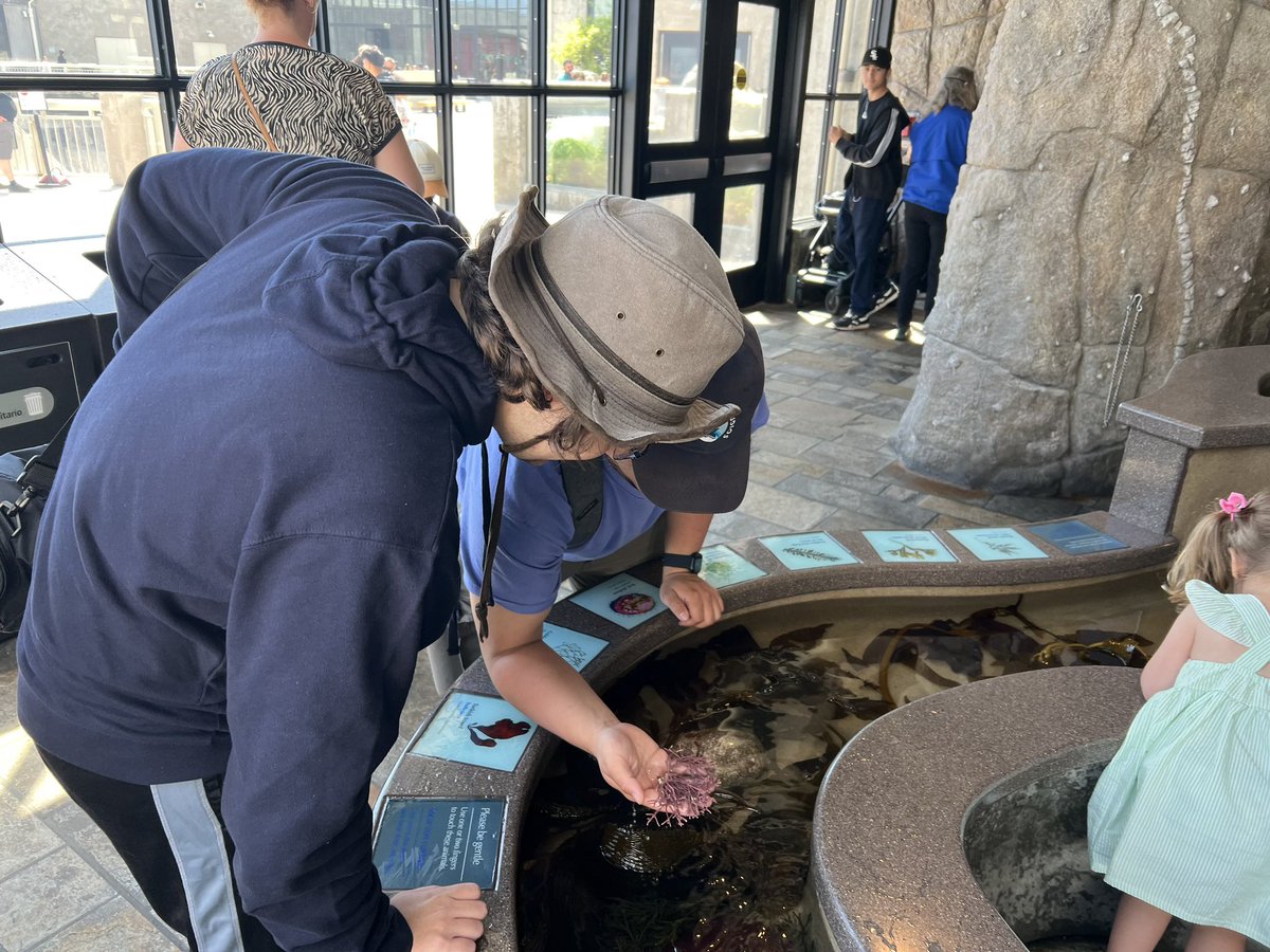 FouledRBLX's tweet photo. @AquaticaStudios post rdc decompression at the Monterey Bay Aquarium! WE LOVE KELP FORESTS

@MontereyAq @MontereyAq_PR 

#roblox #robloxdev https://t.co/QuzAkAEtN5