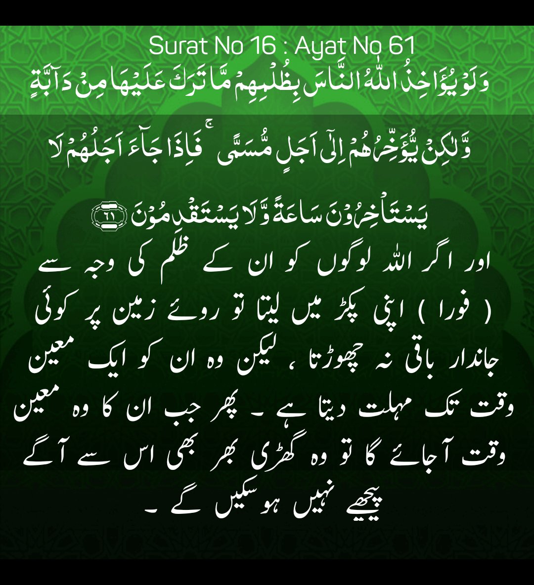 MUHAMMAD SAEED TANOLI (@insptanol) on Twitter photo 