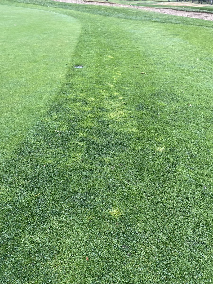 The Winston Turfcare tweet media