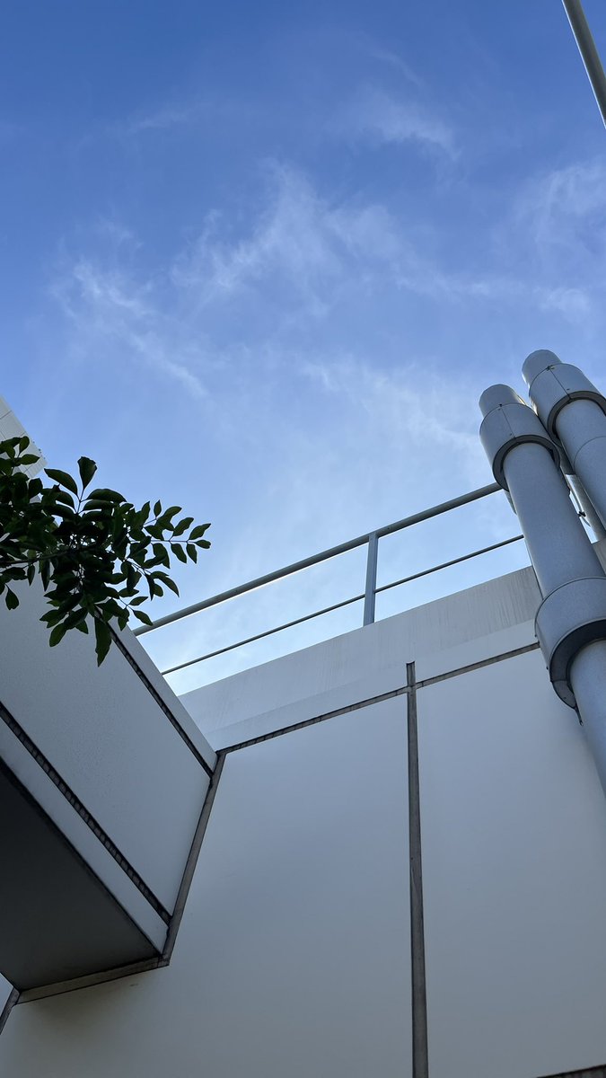 zhpete's tweet photo. mirror’s edge 3 leak (real) https://t.co/o3lOw2EdXo