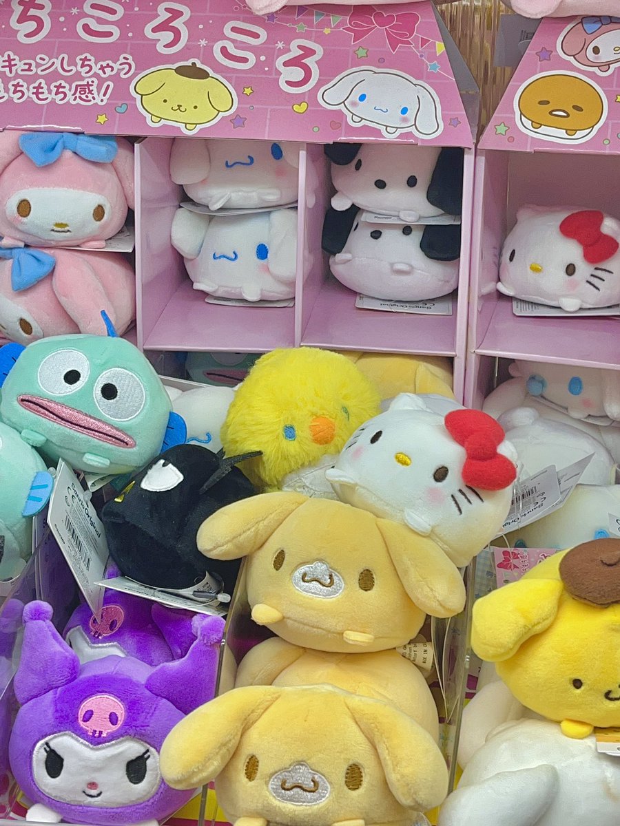 숨은 뽁삐 찾기🔍