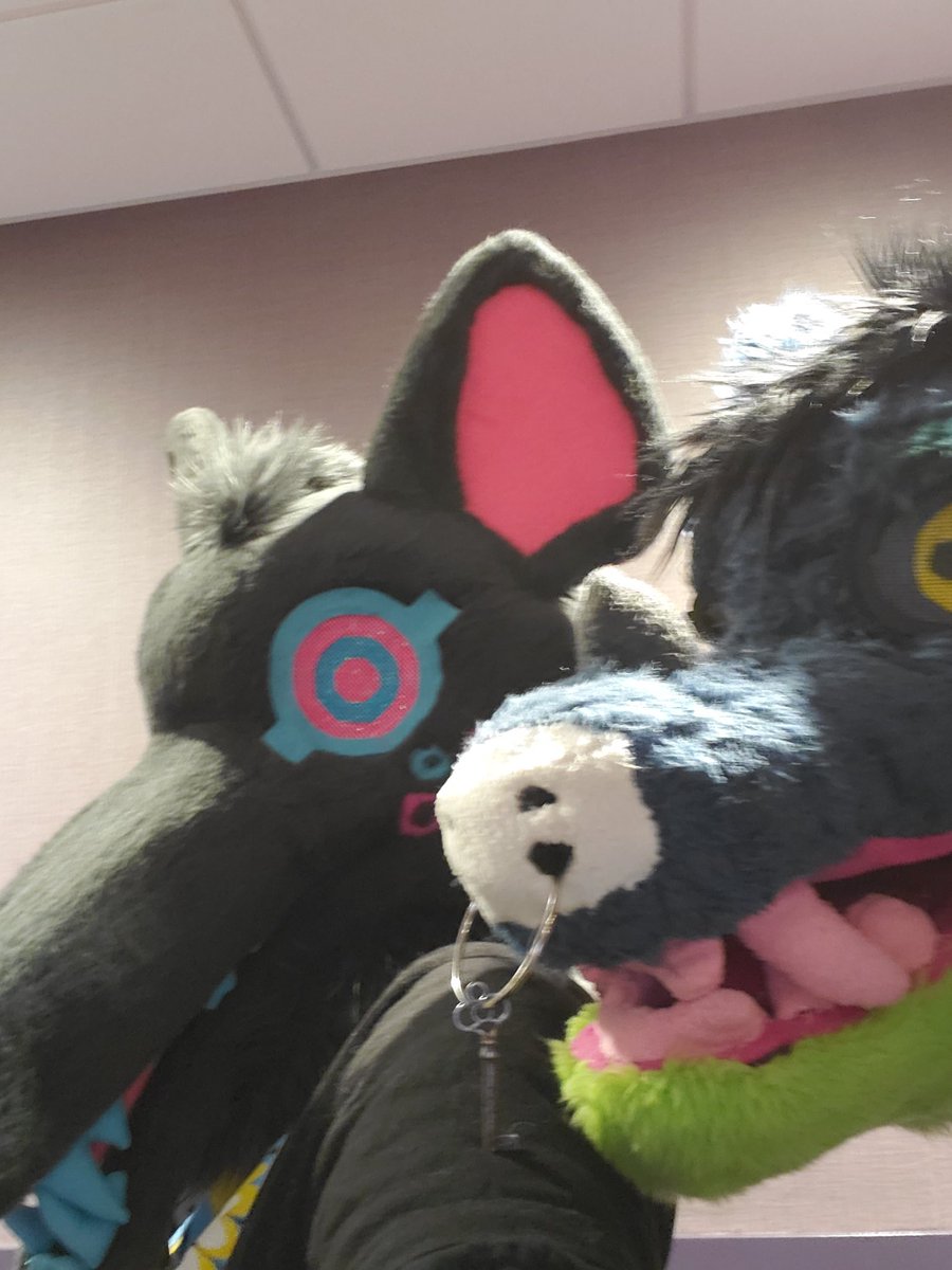 bloodycorvids's tweet photo. Didn't get many photos from #FurryMigration but got some! With @NexusFolf, @spacedergs , @kitsunekla , Sea Salt, a lovely suiter I didn't catch the name of, and @Haunted_Phantom ! https://t.co/96b3leE1uN