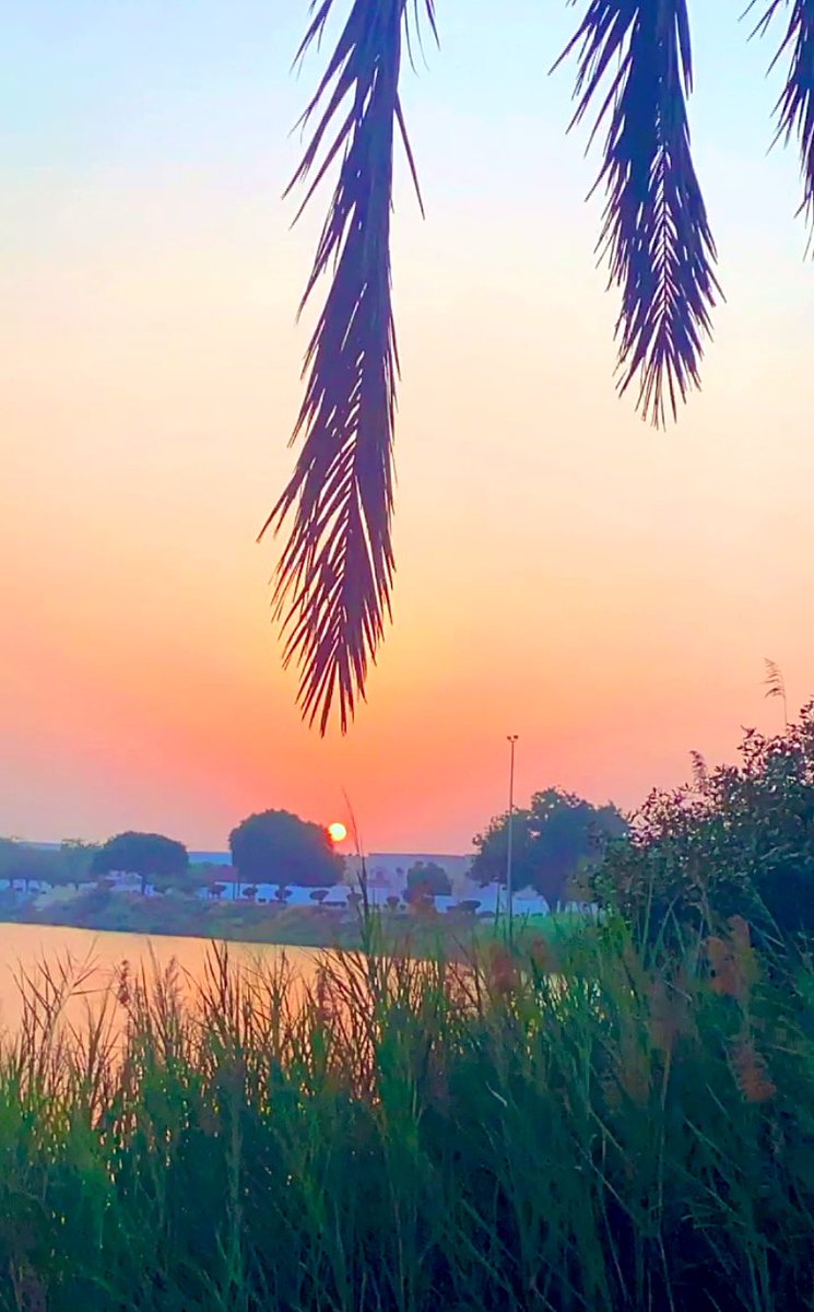 arahmen4321's tweet image. #رساله_اليوم

اللهم إنا نسألك صباحًا يتجلى فيه لطفك ويتسع فيه رزقك وتمتد فيه عافيتك 

ونستفتح فيه برحمتك 🌱

                               #صباح_السعاده 🌺