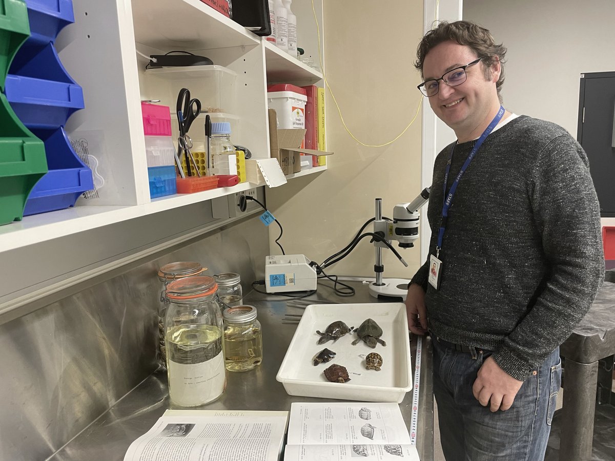 Jodi Rowley tweet media