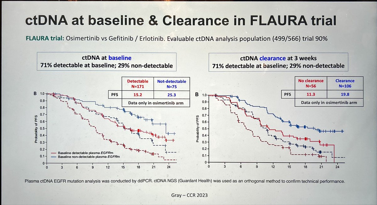 Jordi Remon tweet media