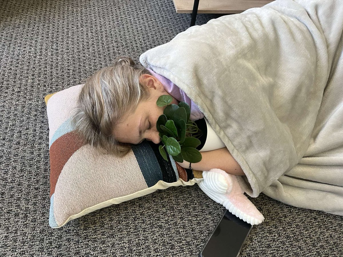 Three things I’ve learned during my first week of college… 
(1) New experiences are better with friends 
(2) Find comfort in the small things 
(3) Get good sleep- and chlorophyll-whenever possible