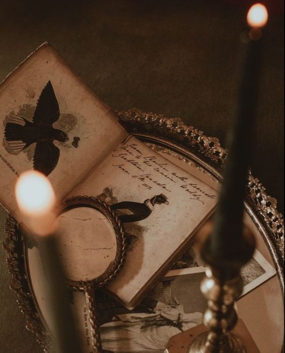 AR_InfernoX's tweet photo. 𝙄𝙈𝙂 - 𝙒𝙀𝙇𝙏 𝙔𝘼𝙉𝙂
             𝕹 * 𝕭𝖚𝖒𝖇𝖑𝖊𝖇𝖊𝖊

‘ ไม่ได้เป็นแฟนคลับทรานส์ฟอร์เxอร์
        แต่ที่บ้านตั้งชื่อให้แบบนี้ตั้งแต่เกิด ’
                                ↻

𝙄𝙣𝙛𝙤𝙧𝙢𝙖𝙩𝙞𝙤𝙣 𝙖𝙗𝙤𝙪𝙩 𝘽𝙪𝙢𝙗𝙡𝙚𝙗𝙚𝙚
v
v https://t.co/D5UT9iKXYb