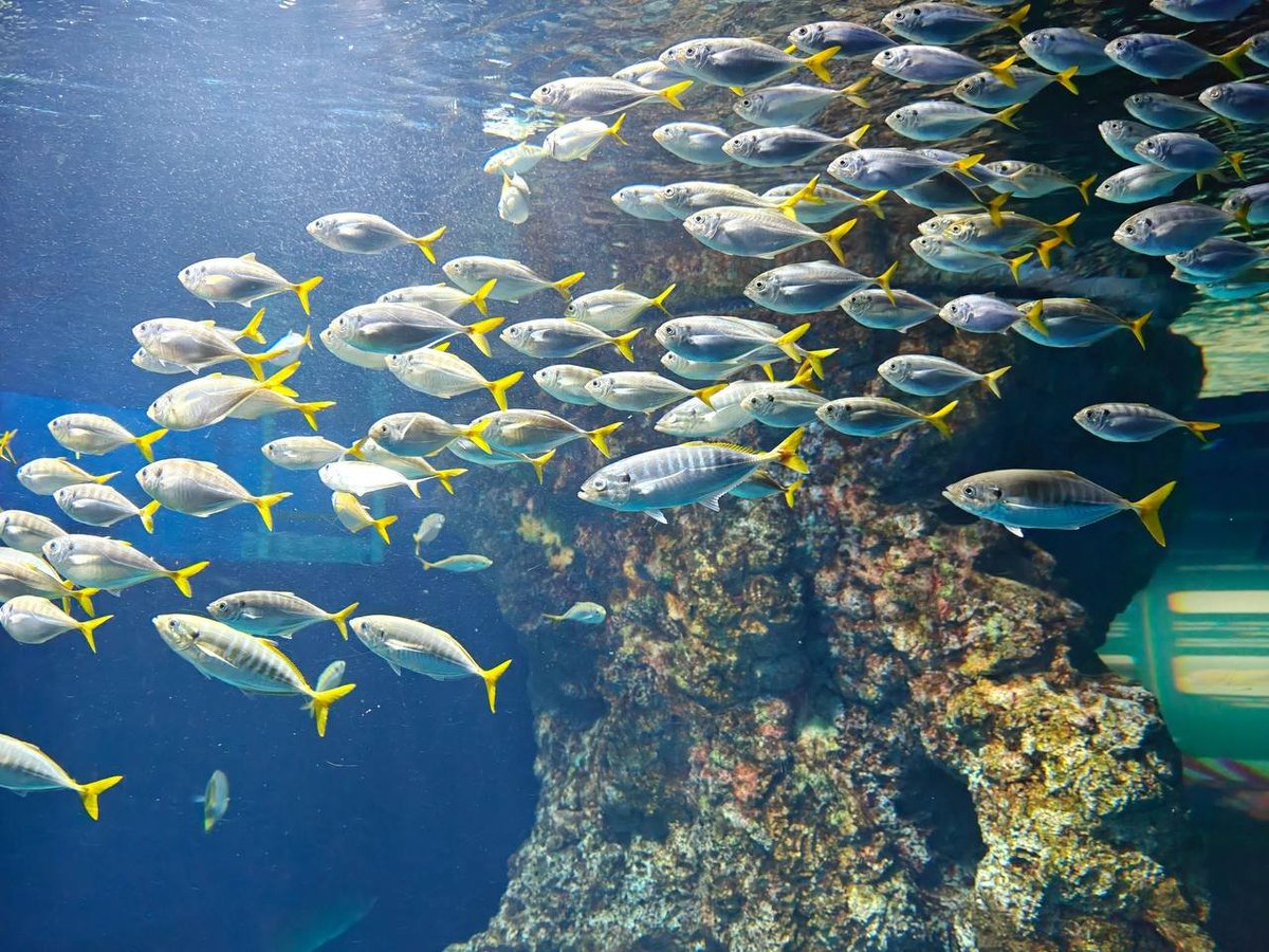 Lemon114_12's tweet photo. can i swim here https://t.co/TdD2WScAHU