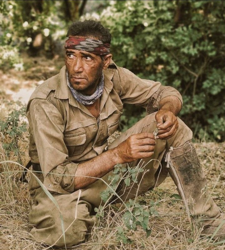 KhosroIsfahani's tweet photo. Iran regime forces have arrested dozens of folks working for Chya Green Org, a local NGO that played a key role in fighting wild fires in Kurdish areas. Their crime? Putting their lives on the line for protecting the environment, their motherland. #سبز_چیا #مهسا_امينی‌ https://t.co/LSwShkk6rG