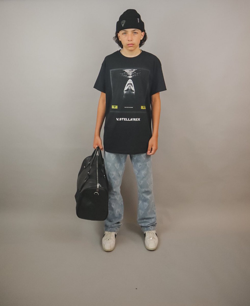 VstellaRex tweet picture