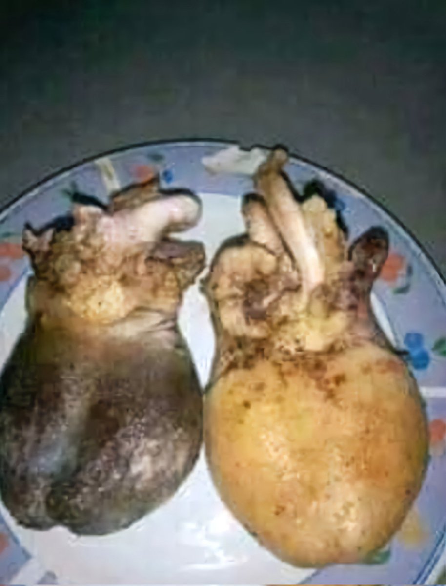 Iphone13ProMaxx's tweet photo. Nikaona nipike pumbu za mbuzi https://t.co/q8j2vvmfsA