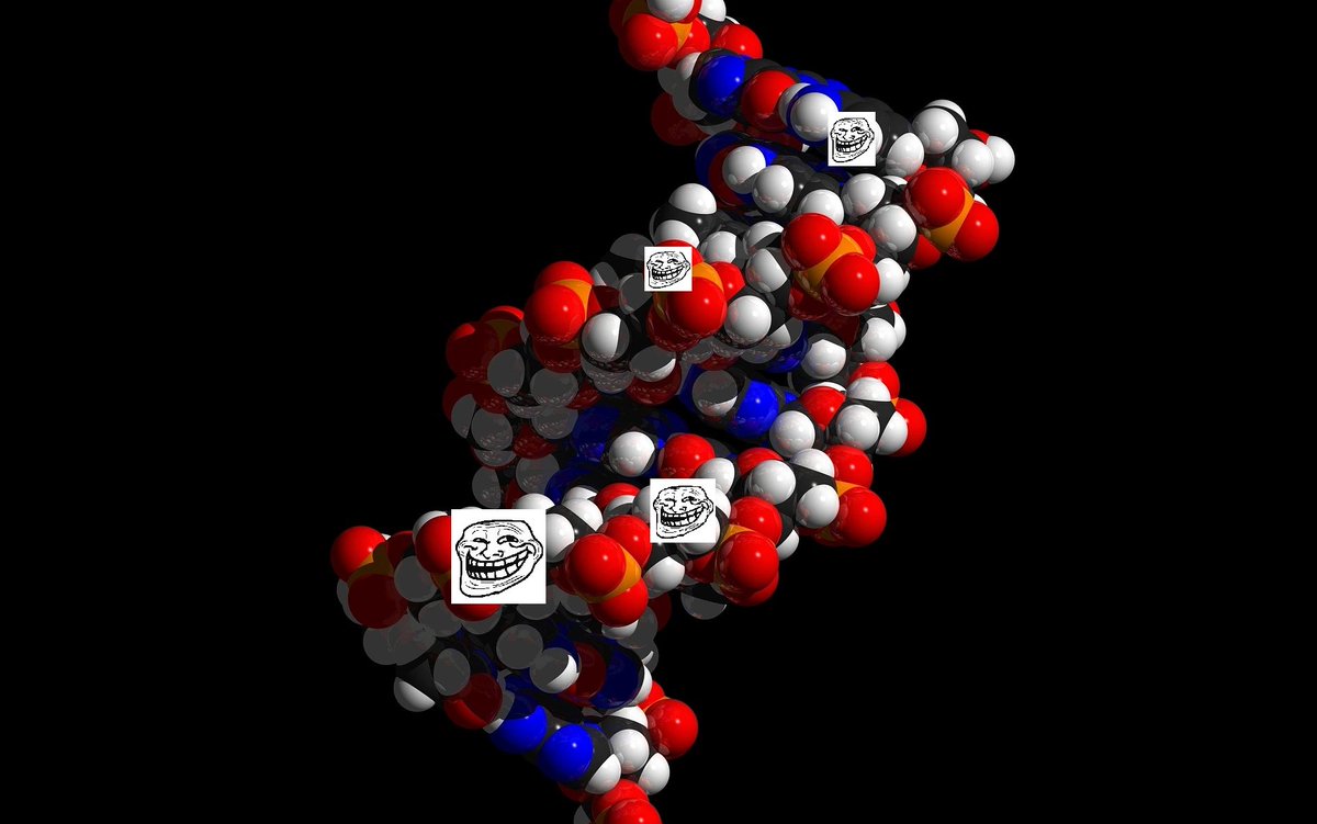 TraseroC's tweet photo. Tambien, los cientificos analizaron el limbo entre el pasaje del mundo animado al real. En medio de esta carretera hayaron el cadaver del famoso picapiedras, que murio mientras viajaba al mundo real y no soporto el traspase. Al analizar molecularmente el cadaver, hayaron esto. https://t.co/Qy2kQ0H2Dx