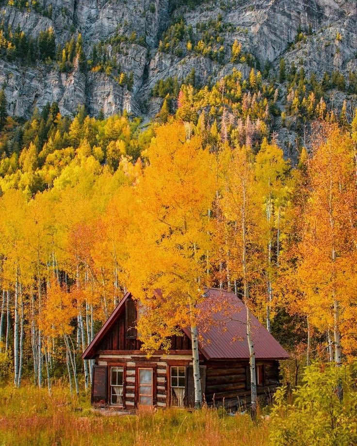 helena_mar19's tweet photo. Good Morning 
Happy New Week 

(USA,📷Pinterest) https://t.co/24NS91qo12