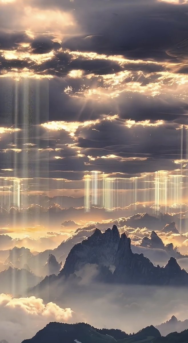 Good morning friends 
Happy Monday and a prosperous new week! 

🌸🪻🌷🌲