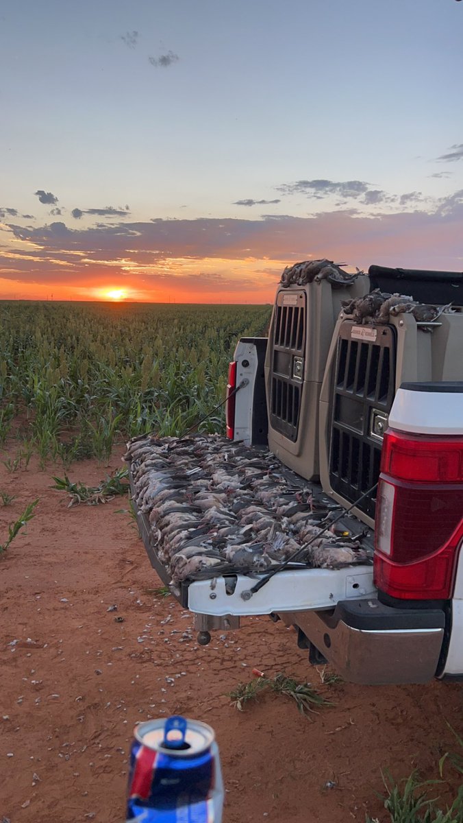 Hard to beat West Tx pile pics
#westtexassafaris