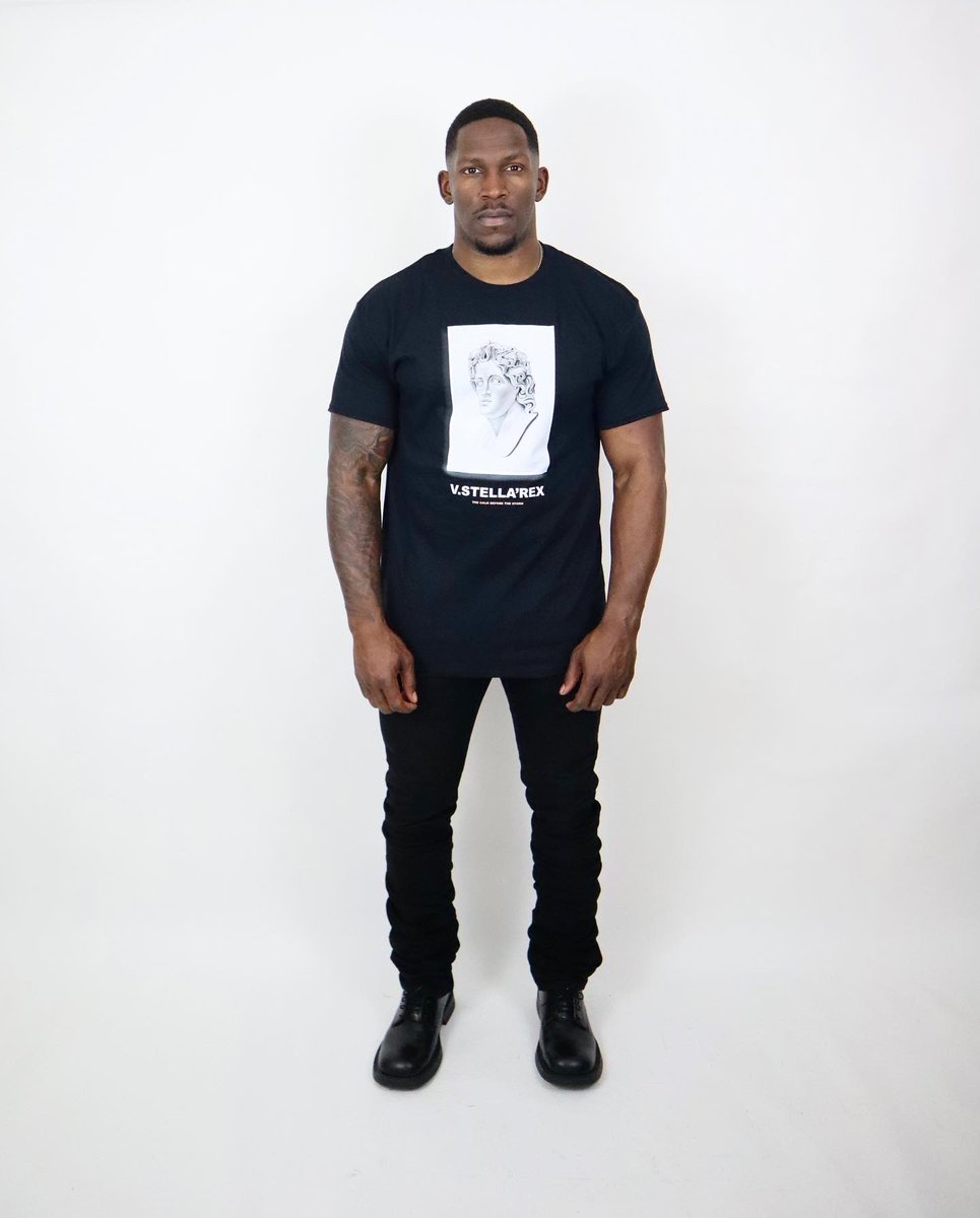 VstellaRex tweet picture