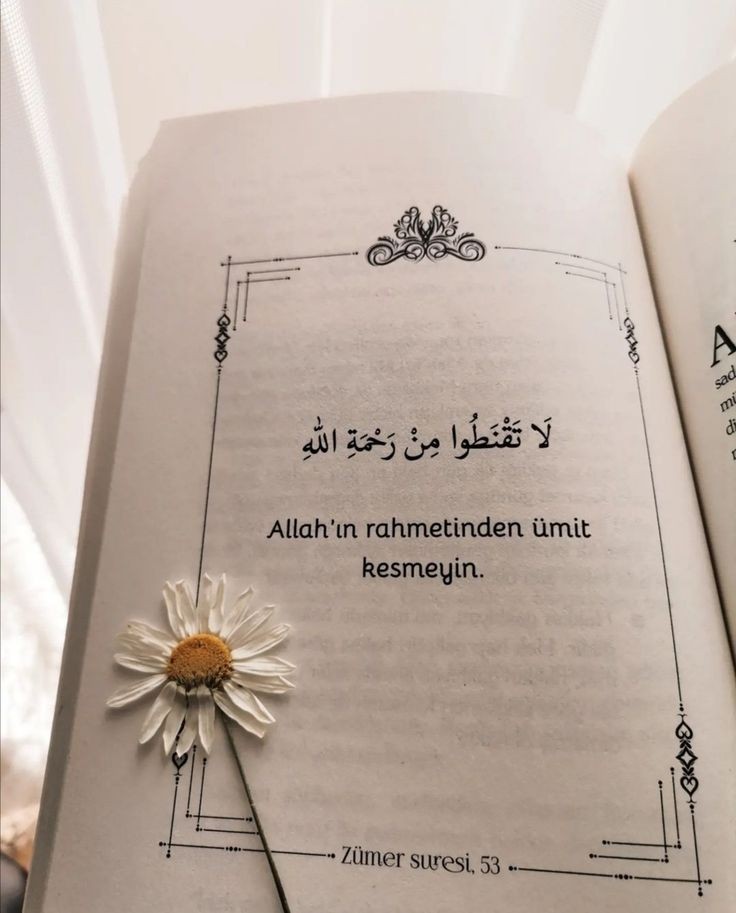 Allah'ın rahmetinden ümit kesmeyin. 

(Zümer suresi/53)