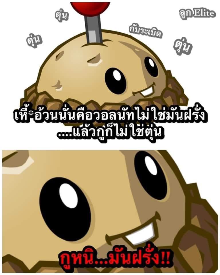 npchaxpp's tweet photo. รู้เพราะมีมนี้5555555555555555 https://t.co/vPfiX0bK5s