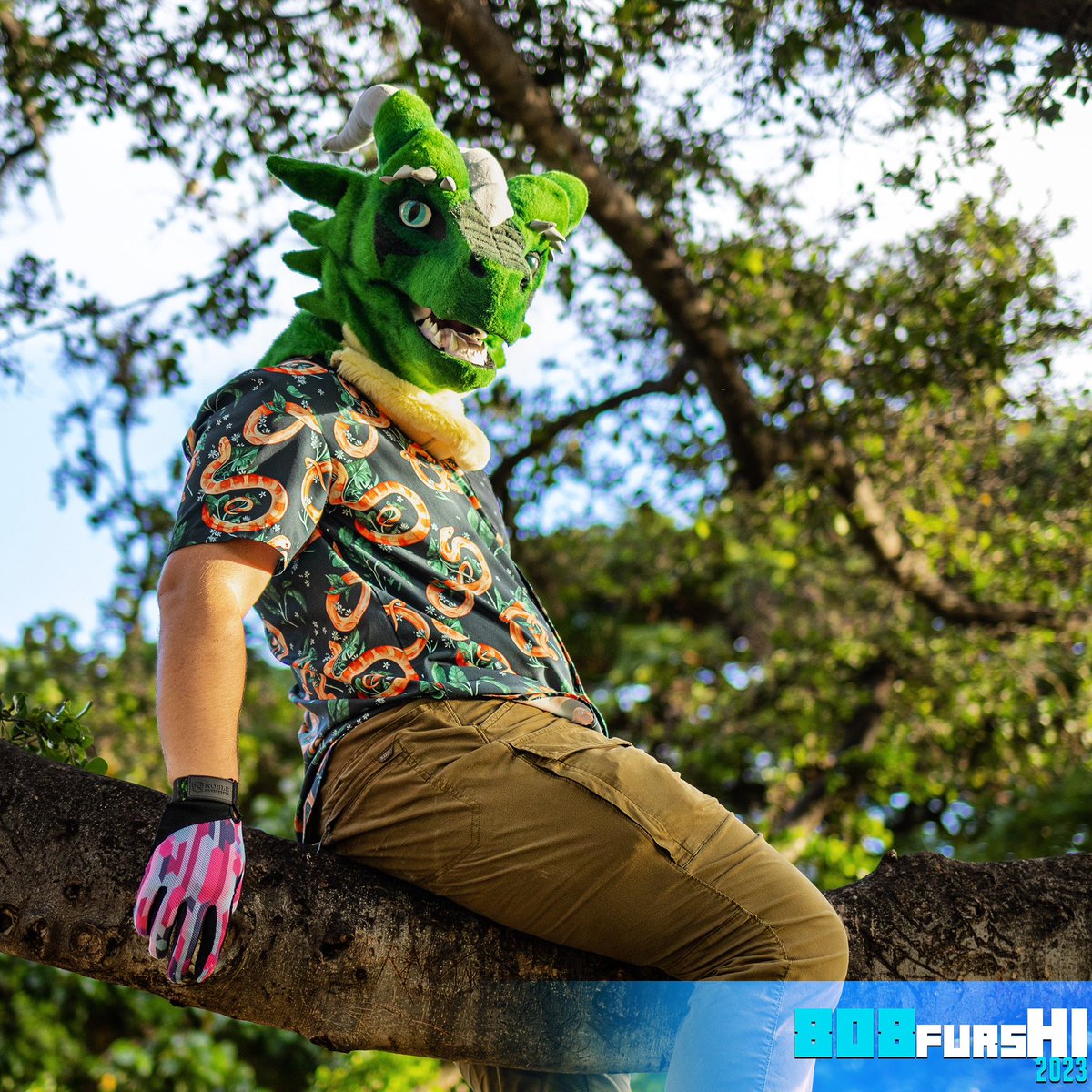 808FursHI's tweet photo. Dragons fly … into trees!
#808FursHI #808Furs #HawaiiFur #Fursuit #Fursuiting #Furry #808FurryEvents #Hawaii #Day #Outdoor #Oahu #Dragon https://t.co/Ias8YAeIGt
