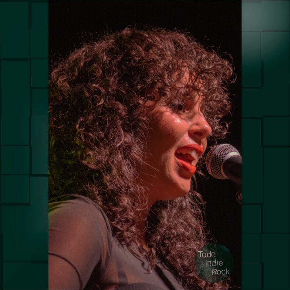 Todo Indie Rock tweet media