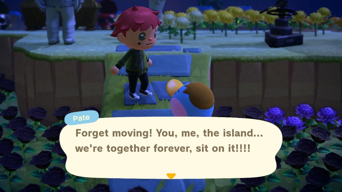 Nathan Hamill tweet media