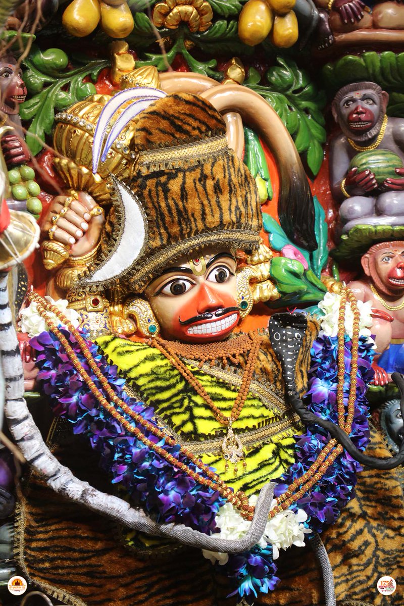 kashtbhanjandev's tweet photo. Darshan : 11-09-2023
શ્રાવણ માસ-સોમવાર નિમિત્તે શ્રીકષ્ટભંજનદેવ દાદાને શિવસ્વરુપનો શણગાર
Hello Devotees
Jai Shri swaminarayan
Shringar Darshan of Shri kashtbhanjandev hanumanji Maharaj Salangpur dham.
https://t.co/OrZRylQah0
#swaminarayan #inspiration #quote #salangpur #motivation #quote #hariprakashswami #hanumanji #hanuman #igtv #vadtal #gujarati #darshan #thoughtoftheday #hinduism #reels #yagya #hinduism #festival #hindu